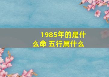 1985年的是什么命 五行属什么